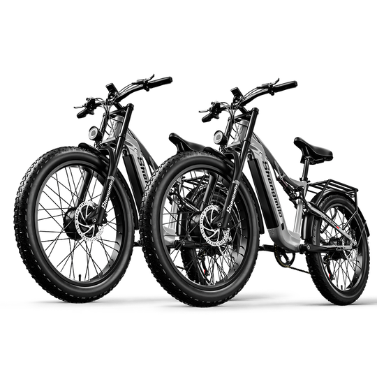 Shengmilo S600 2000W Dual Motor Electric Bike