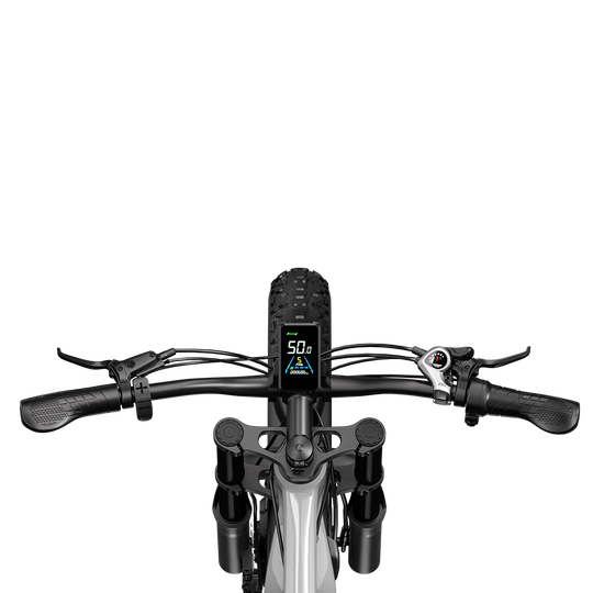 Shengmilo S600 2000W Dual Motor Electric Bike