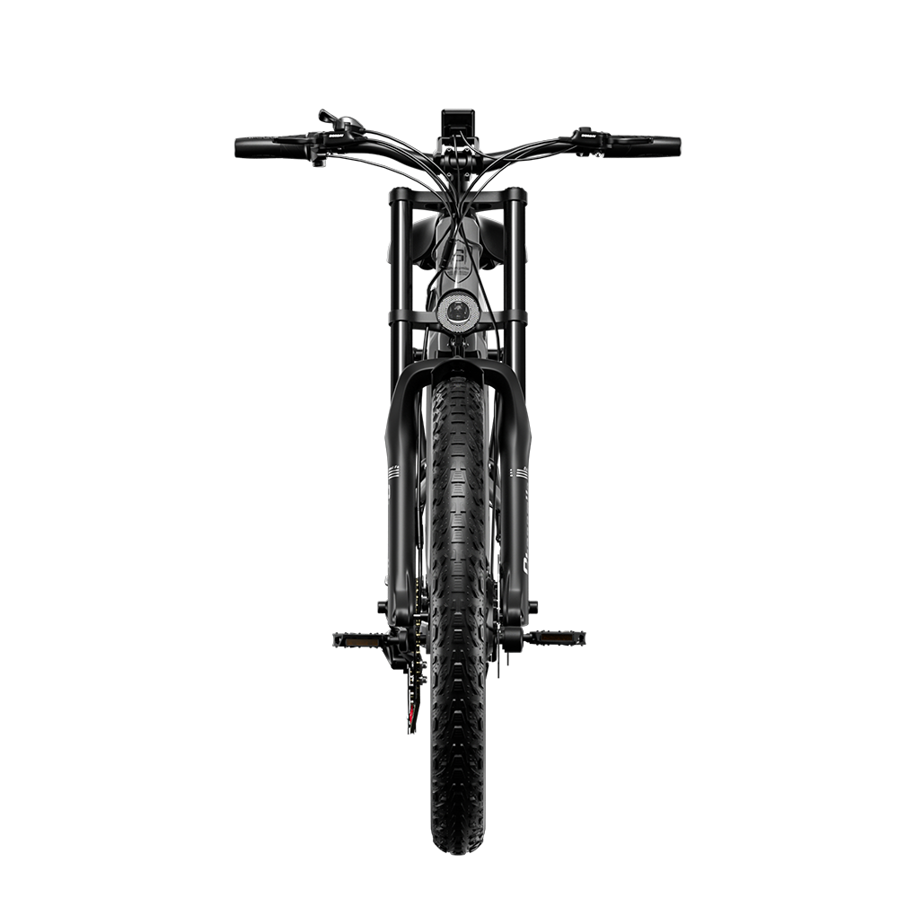 Shengmilo S600 2000W Dual Motor Electric Bike