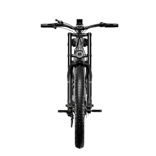 Shengmilo S600 2000W Dual Motor Electric Bike